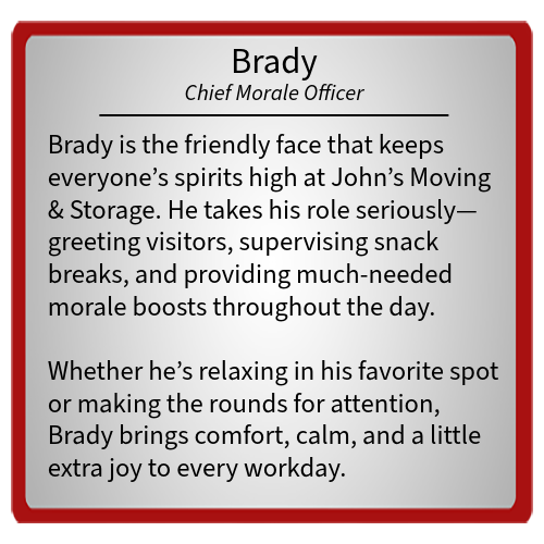 Brady — bio