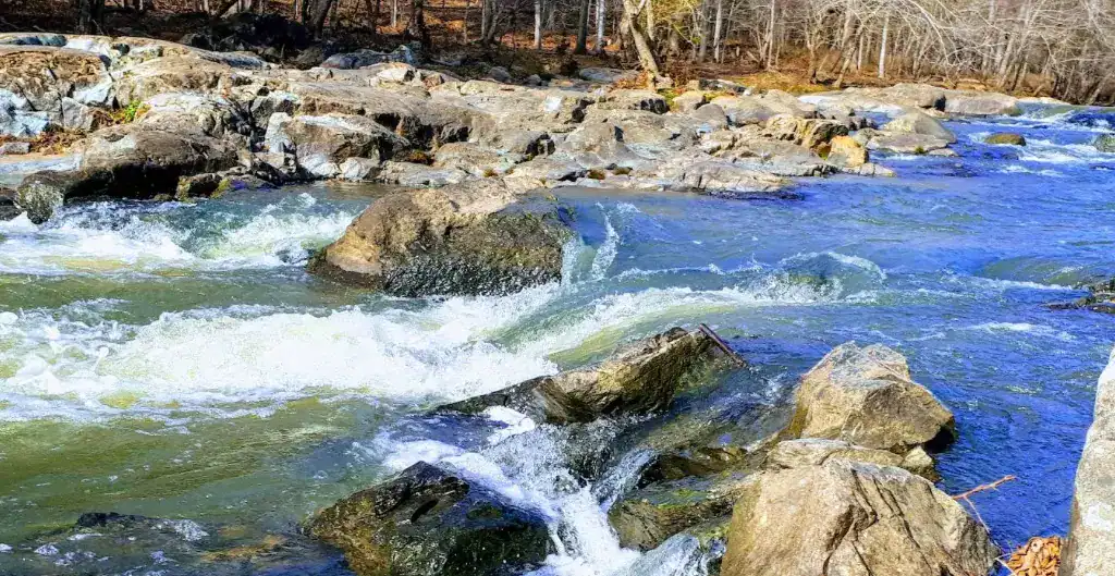 a river in Eno River State Park