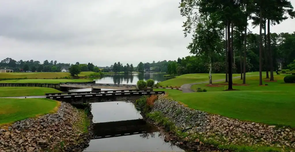 a view on a creek in Cary, NC